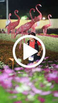 BIB:  <button type="button" onclick="openModal(27590007)" class="btn btn-primary btn-sm float-right" data-toggle="modal" data-target=".modal-high-quality">
                <i class="fa fa-download"></i> Download
                </button>